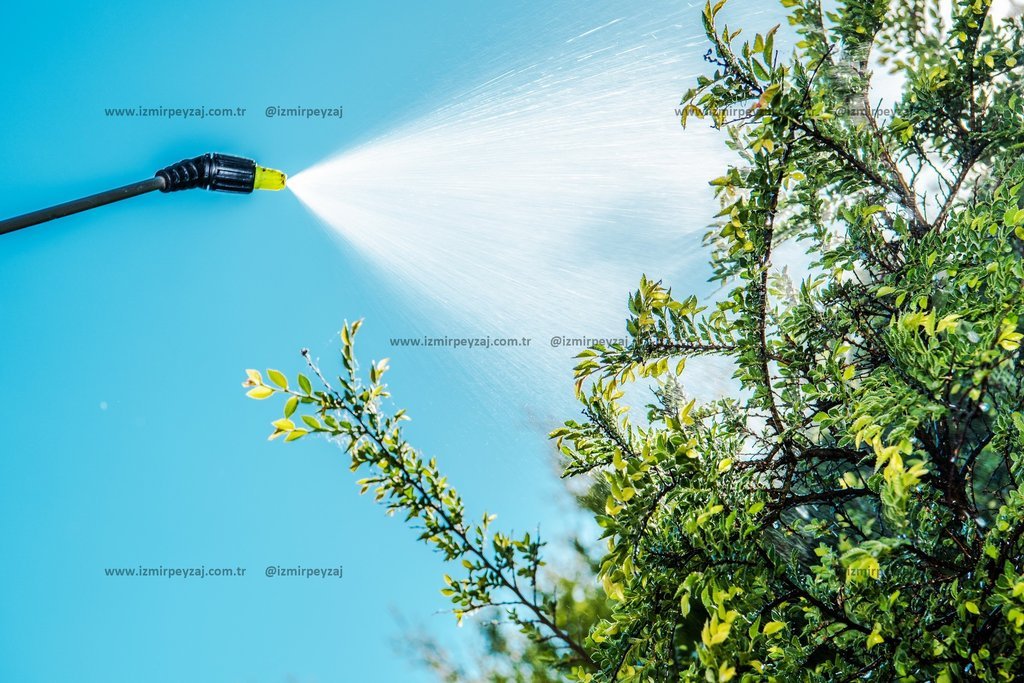 Bu fotoğrafta, bir bahçe hortumuyla bitkilere su püskürtülüyor. Bitkilerin sağlıklı ve canlı kalması için yapılan bu işlem, bahçe bakımının önemli bir