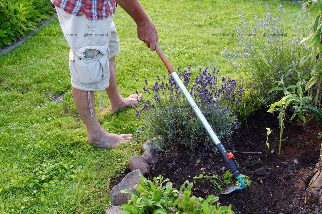 Bahçesinde bitkilerle uğraşan bir kişi, elindeki bahçe aletiyle toprağı işliyor. Bu doğal ve huzurlu bahçe ortamı, bitki yetiştirme ve toprakla uğraşm