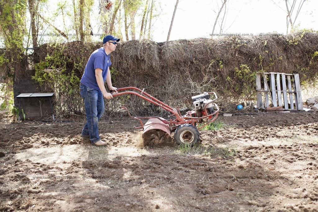 Bahçesinde çapa makinesi kullanan bir adamın görüntüsü. Toprağı işleyen adam, bahçe düzenlemesi yapıyor.
