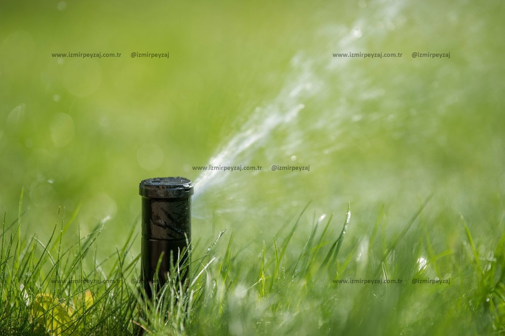 Yeşil çimlerin sulanması için kullanılan bir bahçe sulama sistemi görülmektedir. Sulama başlığı, çimlerin üzerine su püskürterek taze ve canlı kalması