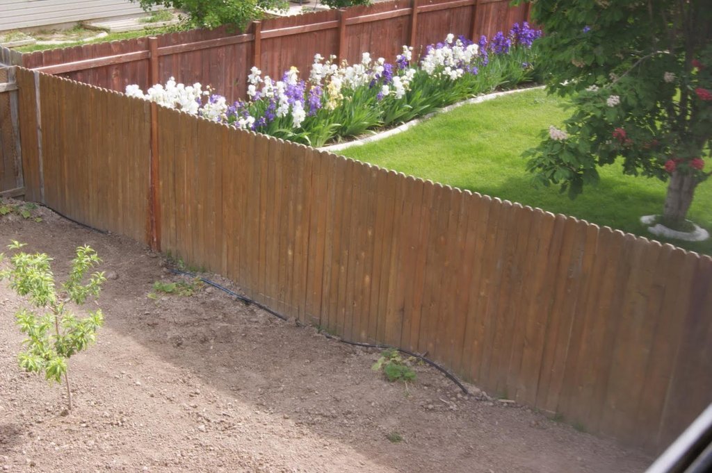 Bu fotoğrafta, ahşap bir çitin yanında sıralı çiçekler ve yeşil bir çim alan görülmektedir. Arka planda ağaçlar ve bitki örtüsü, doğal bir ortamı yans