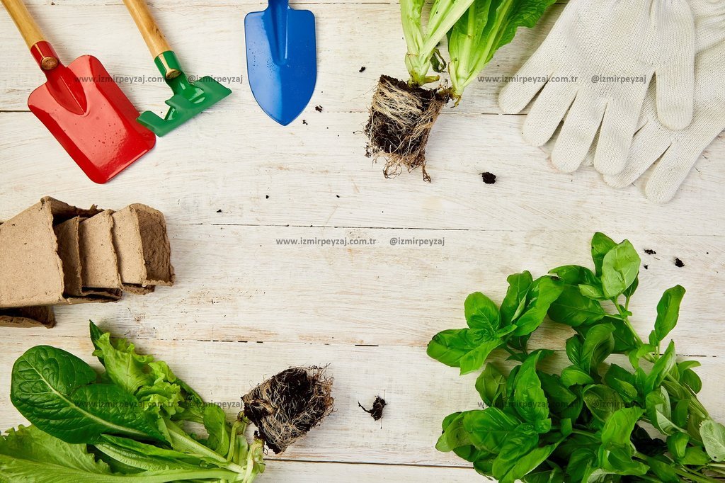 Bahçe işleri için hazırlanmış bir masa üzerinde çeşitli bitkiler, bahçe aletleri ve eldivenler bulunmaktadır. Bu düzenleme, bahçecilikle ilgili projel