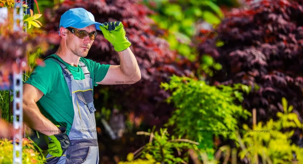 Bahçe Bakım Danışmanlığı