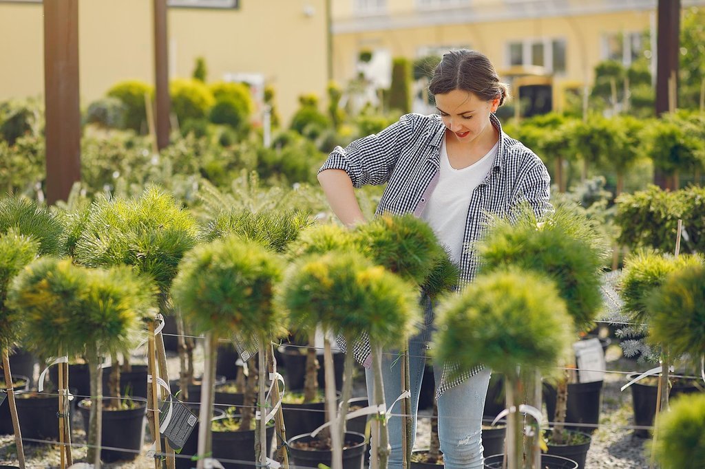 Bir bahçe merkezinde çalışan kadın, özenle budama yaparak bitkilerin bakımını üstleniyor. Çiçek ve b Bir bahçe merkezinde çalışan kadın, özenle budama yaparak bitkilerin bakımını üstleniyor. Çiçek ve bitki yetiştiriciliğiyle ilgilenenler için ilham ve