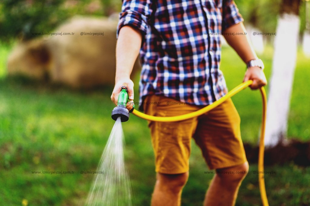 Bahçesini sulayan bir adamın fotoğrafı. Yeşil çimler üzerinde su püskürten hortumu tutan kişi, bahçe işleriyle uğraşıyor.