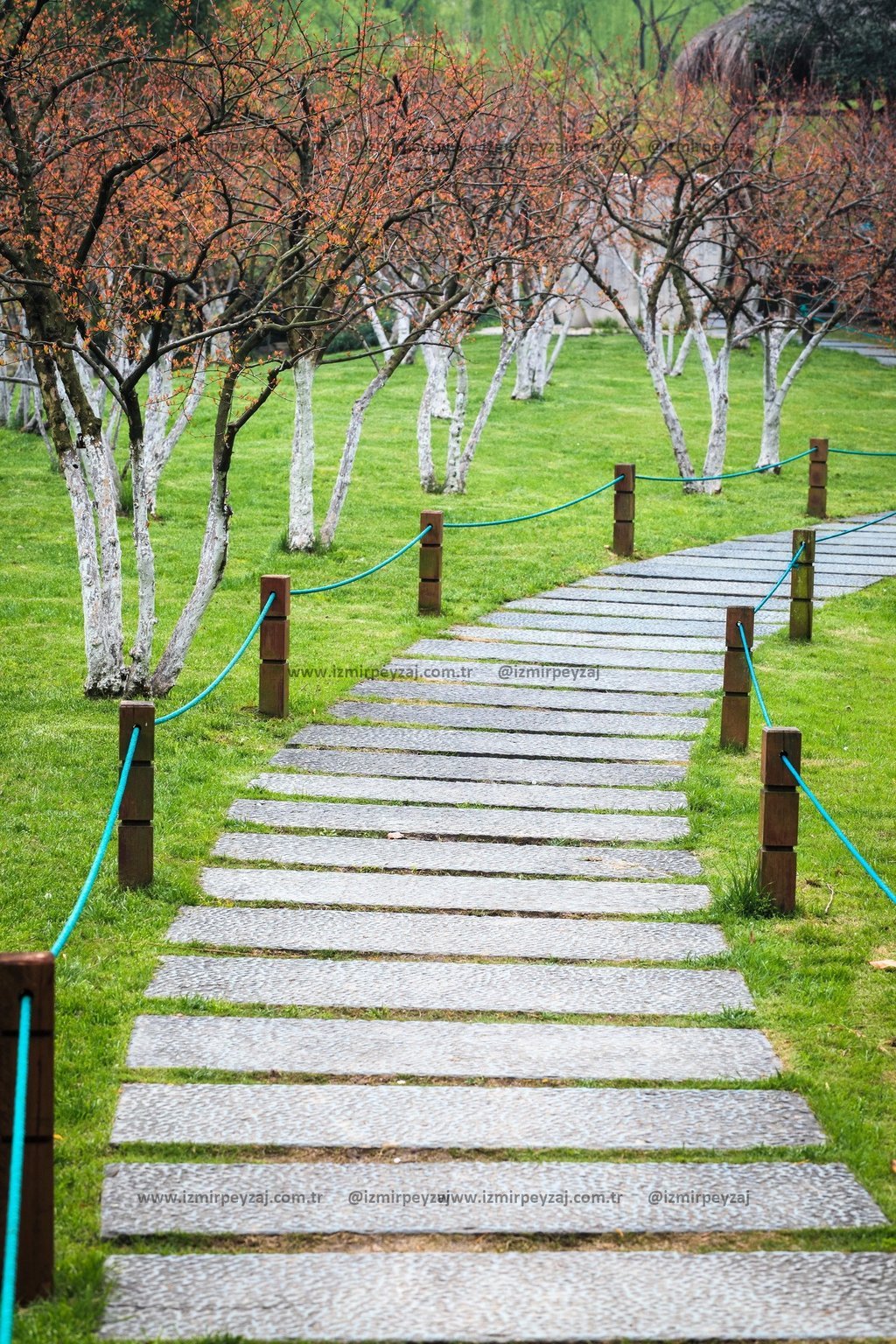 Bu görsel, yemyeşil bir bahçede yer alan taş döşeli bir yolu ve yol boyunca sıralanmış, beyaz badana Bu görsel, yemyeşil bir bahçede yer alan taş döşeli bir yolu ve yol boyunca sıralanmış, beyaz badanalı ağaçları gösteriyor. Mavi iplerle birbirine bağ
