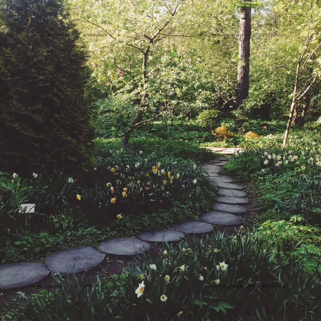 Taşlarla döşenmiş bir yol, yemyeşil bitki örtüsü ve çiçeklerle dolu bir bahçede huzurlu bir atmosfer sunuyor. Doğanın içinde sakin bir yürüyüş için da