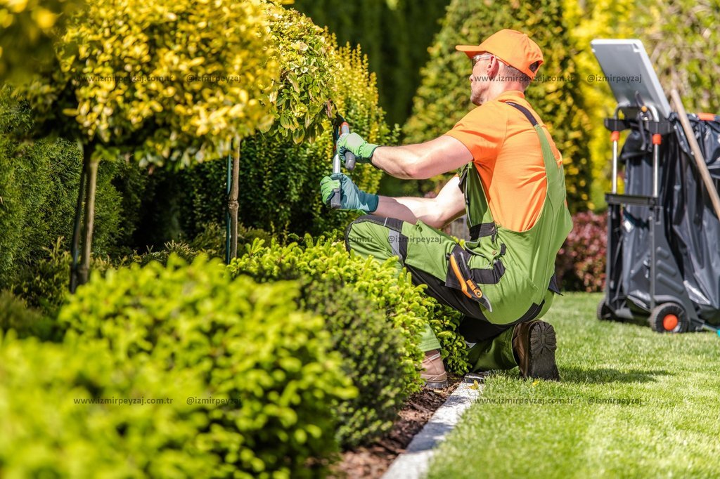 Bahçıvan, bahçe düzenlemesi yaparken çalıları buduyor. Profesyonel bahçe bakımı ve peyzaj hizmetleri Bahçıvan, bahçe düzenlemesi yaparken çalıları buduyor. Profesyonel bahçe bakımı ve peyzaj hizmetleri ile bahçenizi güzelleştirin.