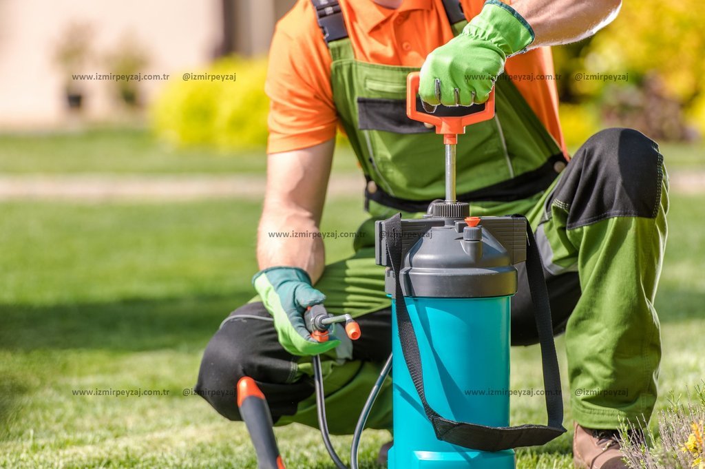 Bahçıvan, yeşil eldivenleri ve tulumuyla bahçedeki bitkilere ilaçlama yapıyor. Sırt pompasıyla zararlılara karşı mücadele eden profesyonel bahçe bakım