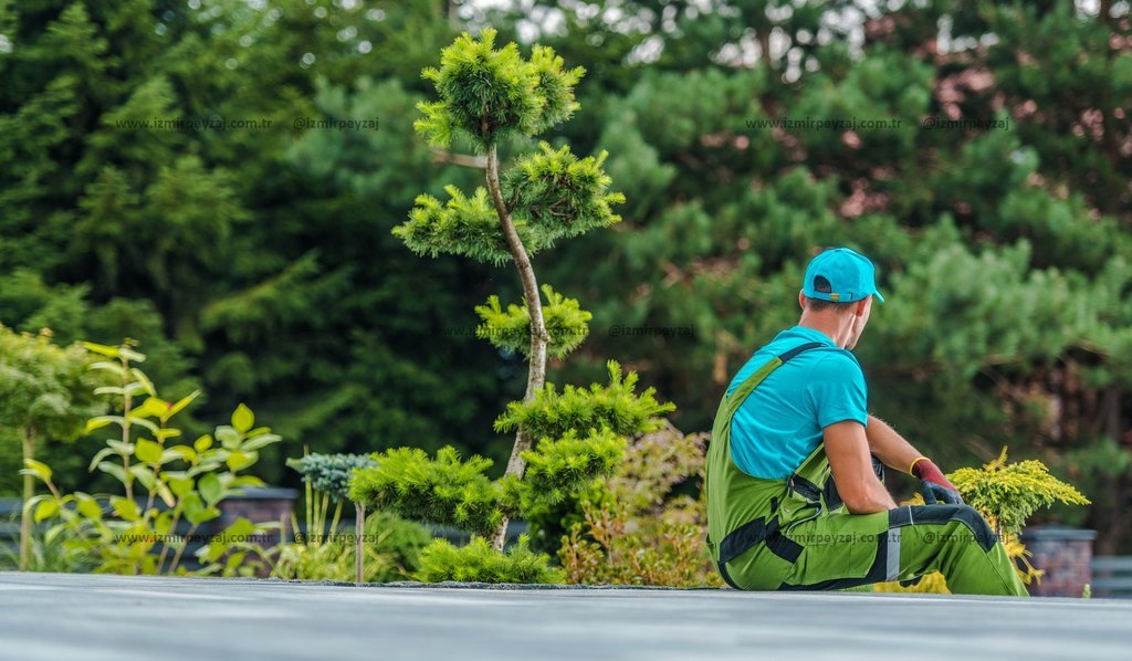 Peyzaj düzenlemesi yapan bir bahçıvanın dinlenirken çekilmiş fotoğrafı. Bahçıvan, yeşillikler içinde Peyzaj düzenlemesi yapan bir bahçıvanın dinlenirken çekilmiş fotoğrafı. Bahçıvan, yeşillikler içindeki bahçede oturarak huzurlu bir an yaşıyor.