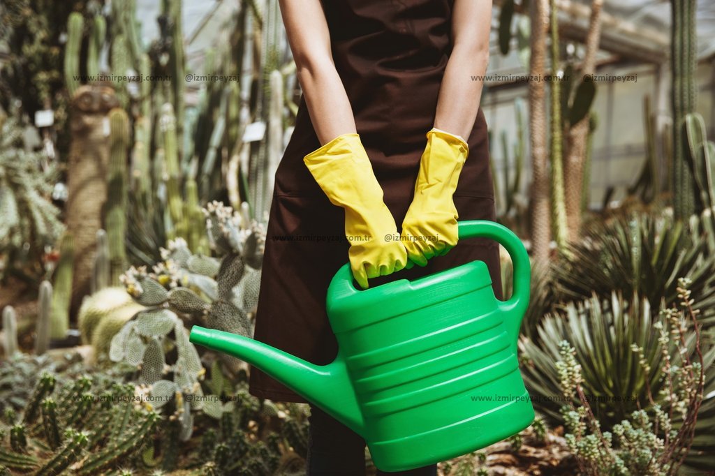 Bahçıvan önlüklü bir kişi, sarı eldivenler takmış ve yeşil bir sulama kabı tutuyor. Arka planda çeşitli kaktüsler ve bitki örtüsü bulunan bir serayı a