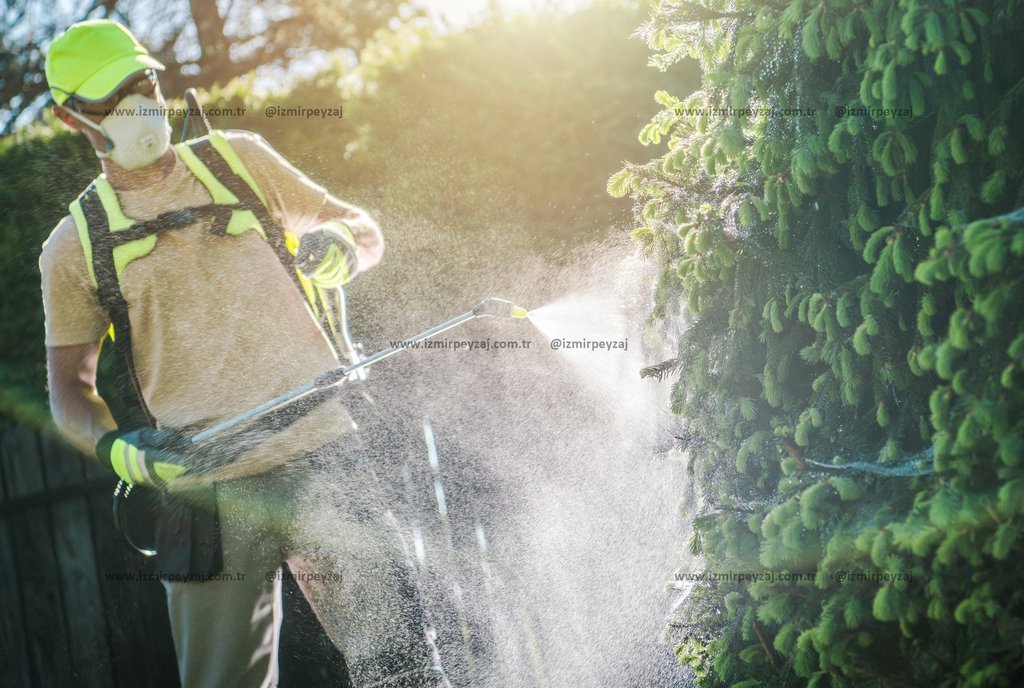 Profesyonel bir bahçıvan, bitkilere ilaçlama yaparak bakımını üstleniyor. Bitki sağlığını koruma ve Profesyonel bir bahçıvan, bitkilere ilaçlama yaparak bakımını üstleniyor. Bitki sağlığını koruma ve zararlılarla mücadele için yapılan bu işlem, bahçe