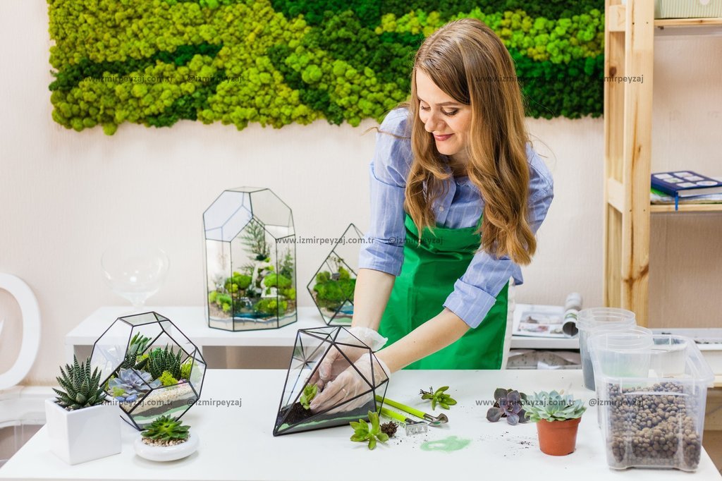 Bir kadın, çeşitli geometrik cam kaplarda bitki düzenlemeleri yapıyor. Bu düzenlemeler, modern ve doğal bir dokunuşu bir araya getirerek iç mekanlara 