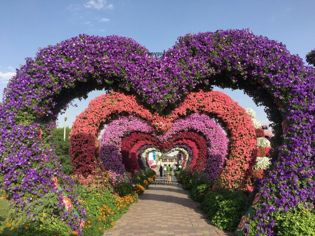 Bu büyüleyici görsel, rengarenk çiçeklerle bezenmiş kalp şeklindeki bir tüneli gözler önüne seriyor. Bu büyüleyici görsel, rengarenk çiçeklerle bezenmiş kalp şeklindeki bir tüneli gözler önüne seriyor. Tünelin içinden geçen yol, ziyaretçilere unutulma