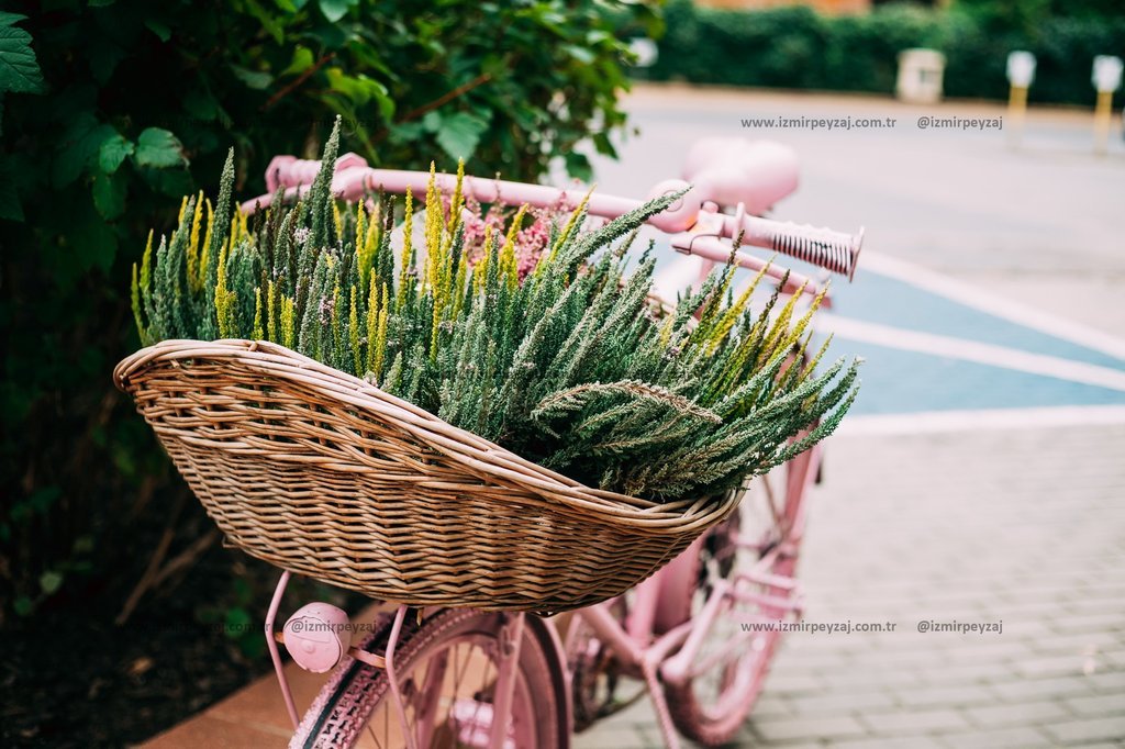 Pembe bir bisikletin ön sepetinde rengarenk çiçekler bulunmaktadır. Bu görsel, çiçeklerle süslenmiş Pembe bir bisikletin ön sepetinde rengarenk çiçekler bulunmaktadır. Bu görsel, çiçeklerle süslenmiş bisikletlerin estetik ve dekoratif kullanımını yan