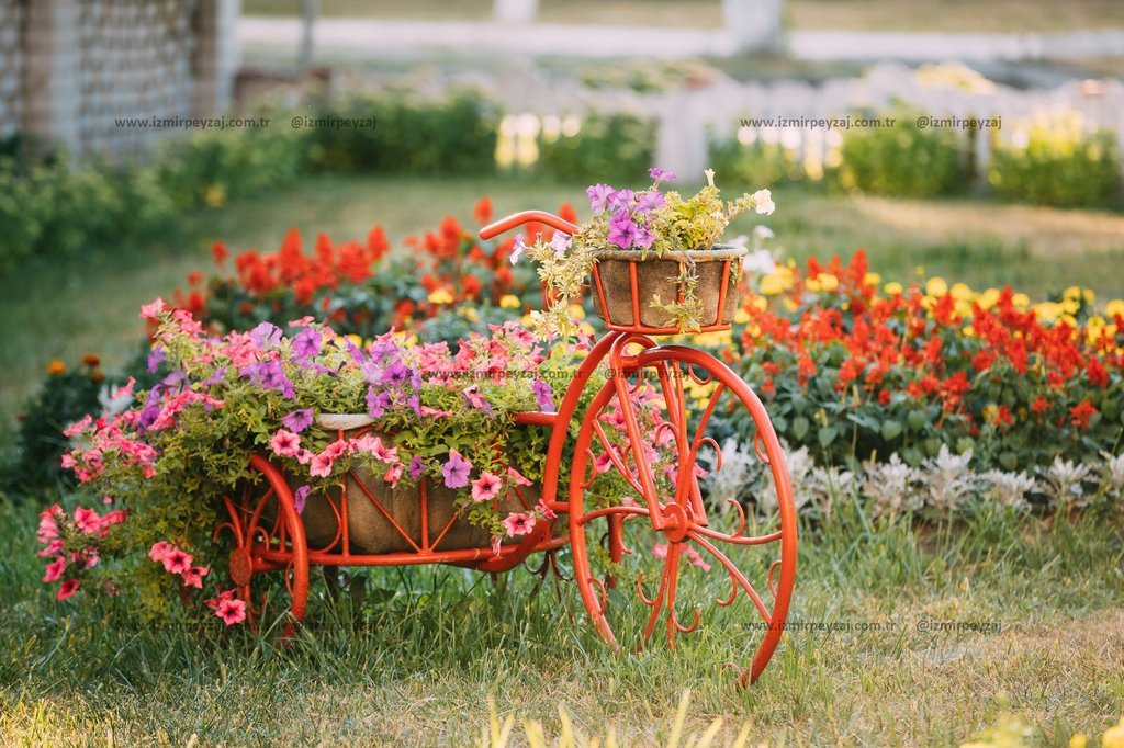 Çiçeklerle dolu dekoratif kırmızı bisiklet, bahçede renkli bir görüntü oluşturuyor. Peyzaj düzenlemesiyle uyumlu bu bisiklet, bahçeye estetik bir doku
