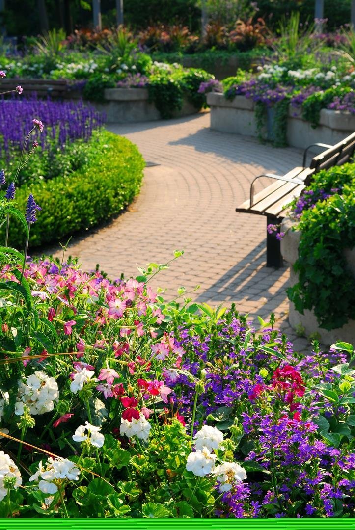 Çiçeklerle dolu bir bahçede, taş döşeli bir yol ve bank yer alıyor. Bu huzurlu ve renkli bahçe, doğayla iç içe keyifli bir atmosfer sunuyor.