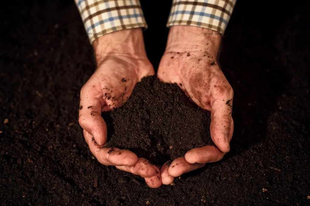 Tarımsal Danışmanlık