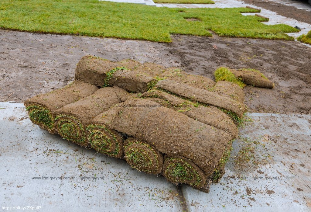 Çim rulo yığınları bir alanda serilmeye hazır halde bekliyor. Taze ve yeşil çimlerle bahçenizi güzel Çim rulo yığınları bir alanda serilmeye hazır halde bekliyor. Taze ve yeşil çimlerle bahçenizi güzelleştirmek için ideal bir görüntü.