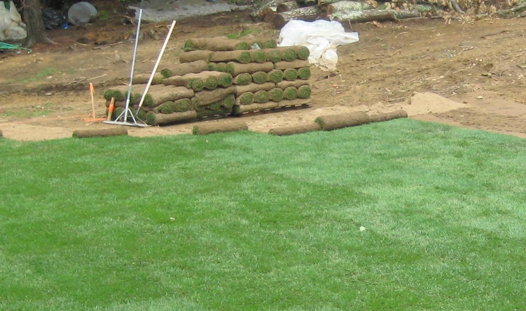 Resimde, yeni serilmiş çimlerle kaplı bir alan ve henüz serilmemiş çim ruloları görülmektedir. Bahçe düzenlemesi veya peyzaj çalışması yapıldığı anlaş