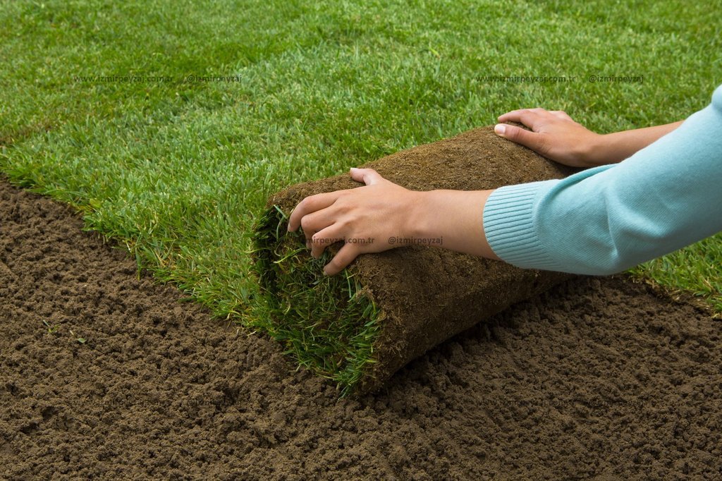 Çim serimi yapılan bir bahçe görüntüsü. Rulo çimler, toprak üzerine dikkatlice yerleştirilerek yeşil bir alan oluşturuluyor.