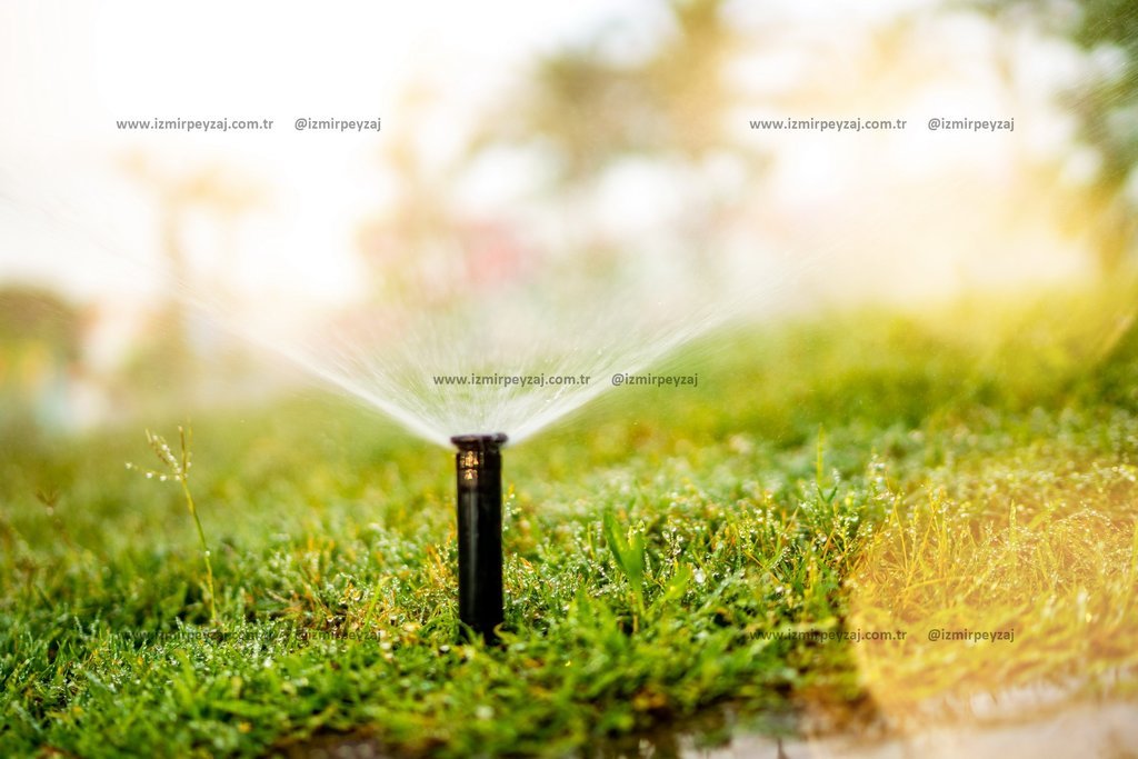 Çim sulama sisteminin yakın çekim fotoğrafı. Bahçe sulama sistemleri ile ilgili içerikler için ideal bir görseldir.