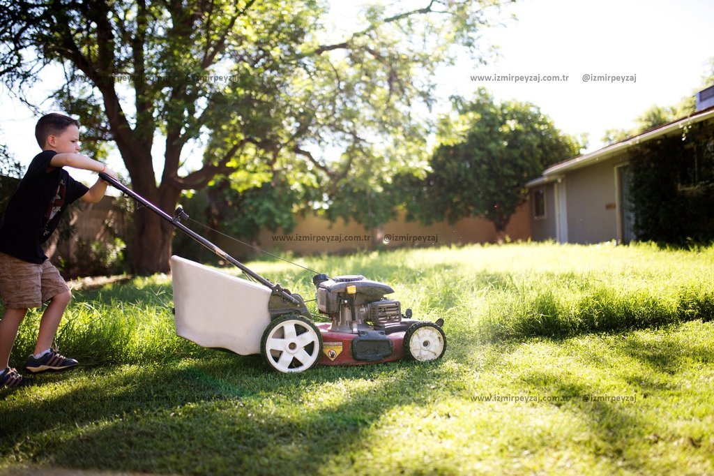 Çocuk çim biçme makinesiyle bahçede çimleri biçiyor. Güneşli bir günde bahçe işleriyle uğraşan çocuğun keyifli anı.