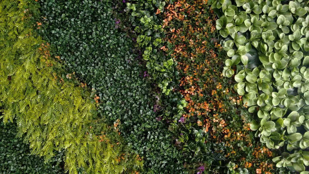 Çeşitli yaprak ve bitki türlerinden oluşan, dekoratif bir duvar kaplaması görseli. Yeşil tonlarının hakim olduğu bu duvar, doğal ve estetik bir görünü