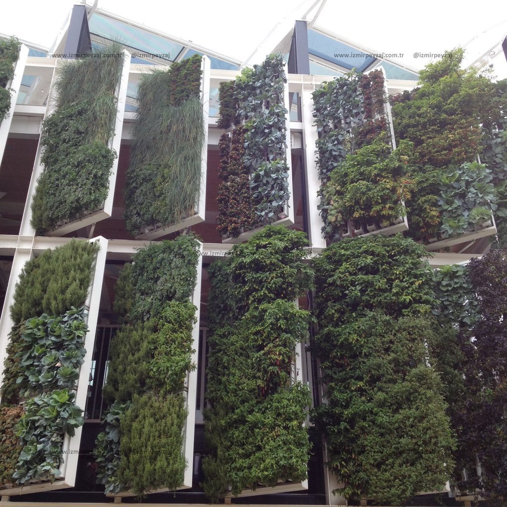 Dikey bahçe uygulaması ile modern bir binanın dış cephesinde oluşturulmuş yeşil duvar. Çeşitli bitki türleri kullanılarak doğal ve estetik bir görünüm