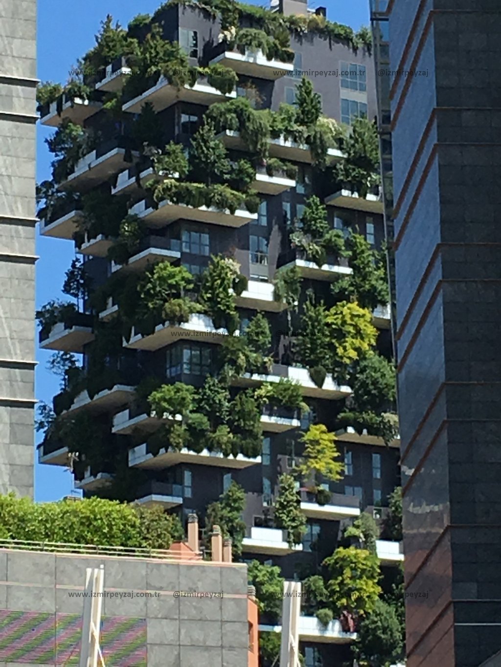 Dikey orman konseptiyle tasarlanmış, bitki örtüsüyle kaplı modern bir gökdelenin görüntüsü. Şehirde Dikey orman konseptiyle tasarlanmış, bitki örtüsüyle kaplı modern bir gökdelenin görüntüsü. Şehirde doğayla iç içe yaşamı temsil eden bu yapı, sürdürü