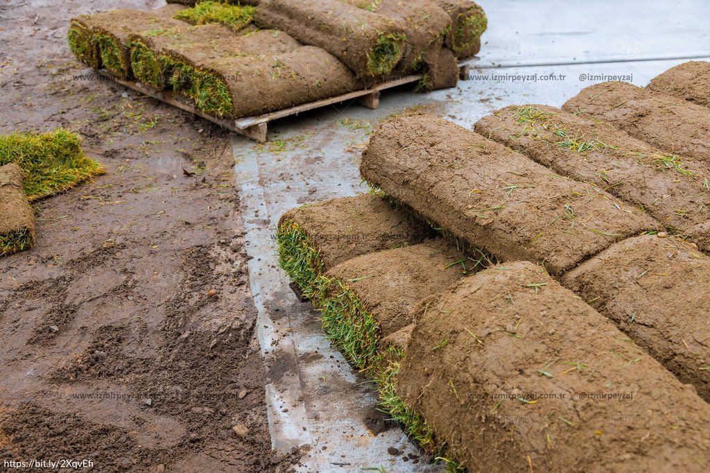 Çim ruloları, bahçe düzenlemesi ve peyzaj uygulamaları için hazır bekliyor. Yüksek kaliteli çimler, bahçenize anında yeşillik ve estetik bir görünüm k