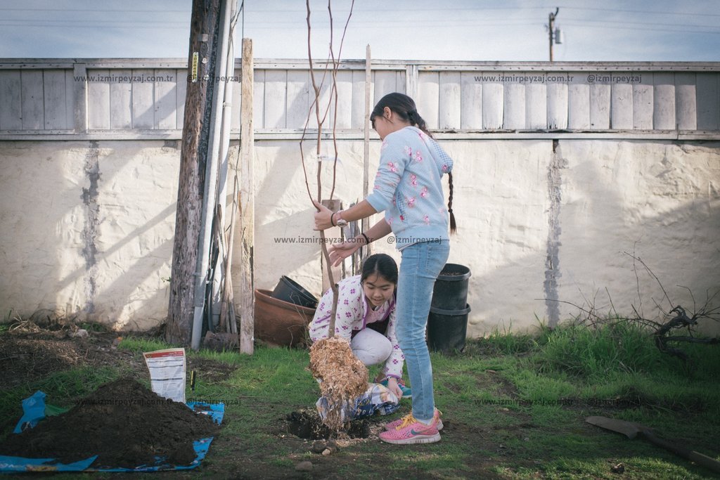 İki kız kardeş bahçede yeni bir fidan dikiyor. Birlikte çalışarak doğaya katkıda bulunuyorlar.
