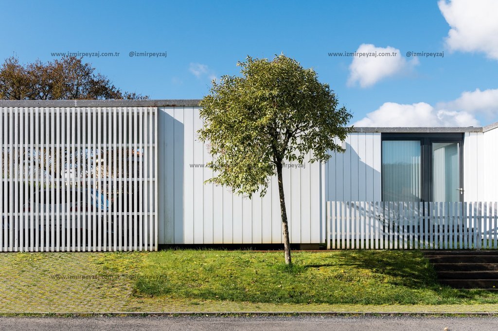 Bu görsel, modern bir mimariye sahip binanın önünde yer alan ağaç ve yeşil alanları göstermektedir. Bina, beyaz renkli panelleri ve minimalist tasarım