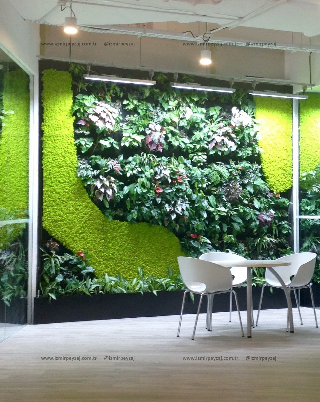Bu fotoğrafta, modern bir ofis ortamında dikey bahçe uygulaması görülmektedir. Yeşil bitki duvarı, m Bu fotoğrafta, modern bir ofis ortamında dikey bahçe uygulaması görülmektedir. Yeşil bitki duvarı, mekana doğal ve ferah bir hava katarken, beyaz sand