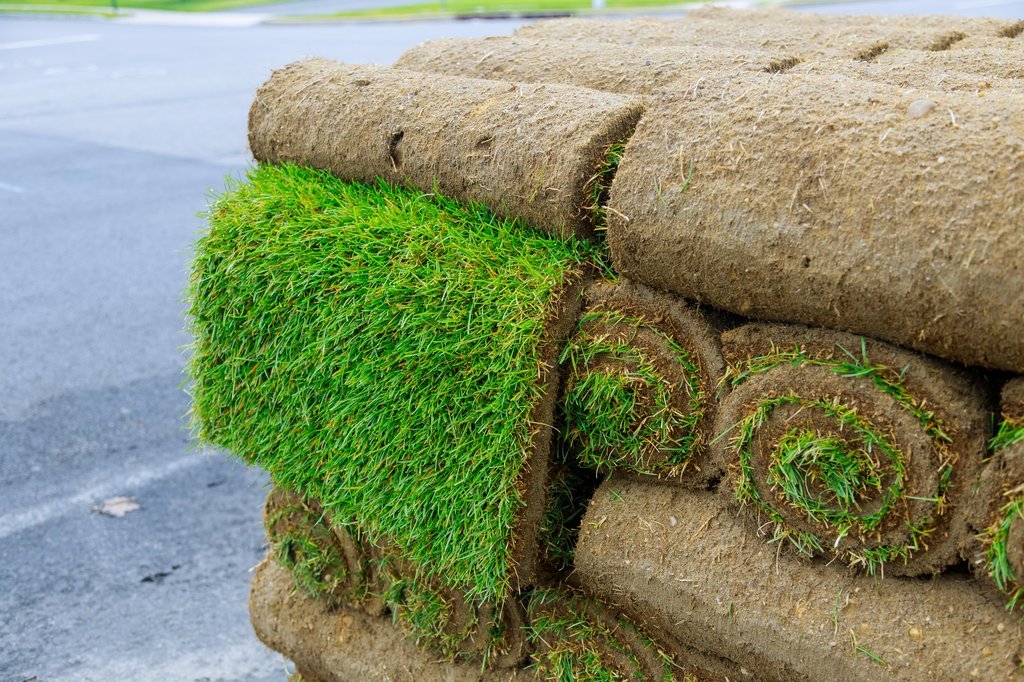 Rulo çim balyaları istiflenmiş halde duruyor. Yeni çim sererek bahçesini güzelleştirmek isteyenler için ideal bir görüntü.