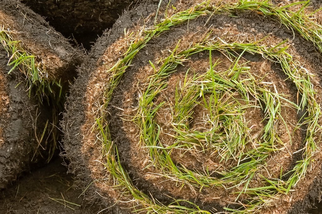 Rulo çim balyaları, bahçe düzenlemesi ve peyzaj uygulamaları için ideal bir çözümdür. Taze ve yeşil görünümüyle bahçenize doğal bir güzellik katar.