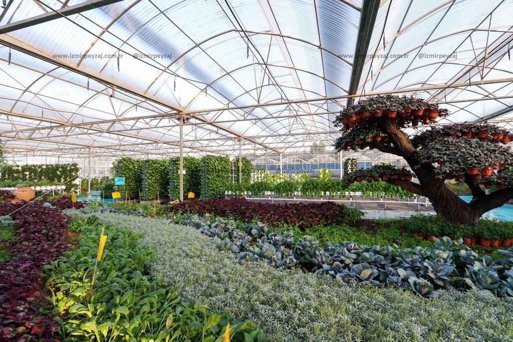 Geniş bir seranın içinde farklı türde bitki ve sebzelerin yetiştirildiği, düzenli sıralar halinde dizilmiş tarım alanları görülmektedir. Sürdürülebili