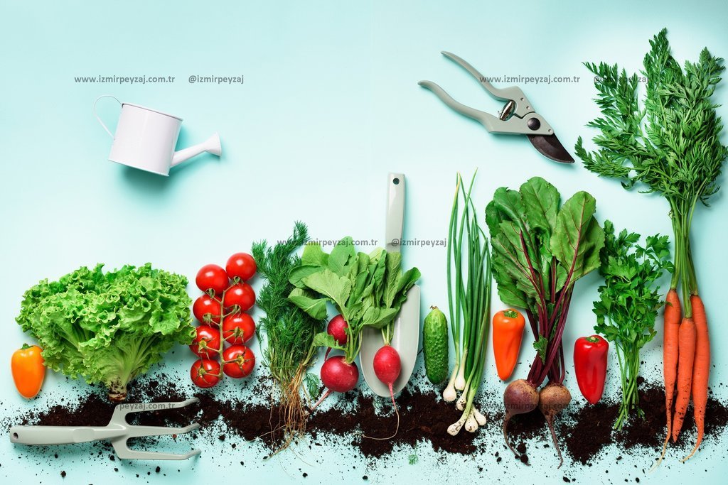 Taze sebzeler ve bahçe aletleriyle hazırlanmış, doğal ve sağlıklı yaşamı temsil eden bir görsel. Bah Taze sebzeler ve bahçe aletleriyle hazırlanmış, doğal ve sağlıklı yaşamı temsil eden bir görsel. Bahçecilikle ilgili projeler ve doğal ürünlerin tanıt