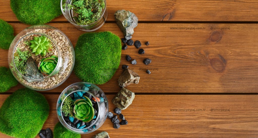 Ahşap zemin üzerinde teraryumlar, yosunlar ve taşlar bulunan bir görsel. Doğal malzemelerle oluşturulmuş dekoratif düzenlemeler sergilenmektedir.