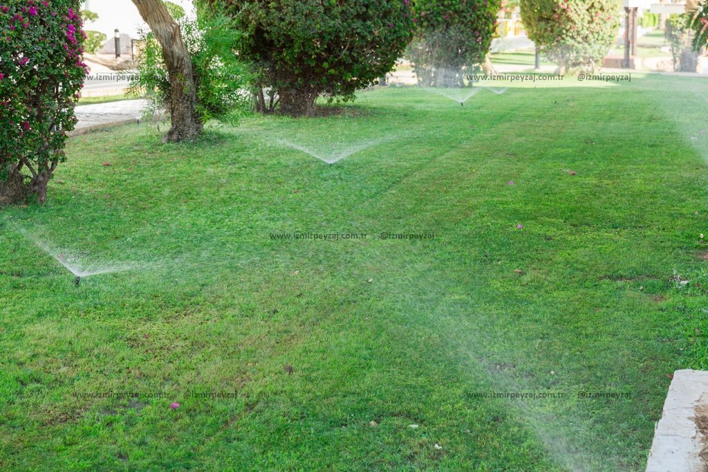 Yeşil bir bahçede çim sulama sistemleri çalışırken çekilmiş bir fotoğraf. Bahçedeki bitki örtüsü ve sulama detayları dikkat çekiyor.
