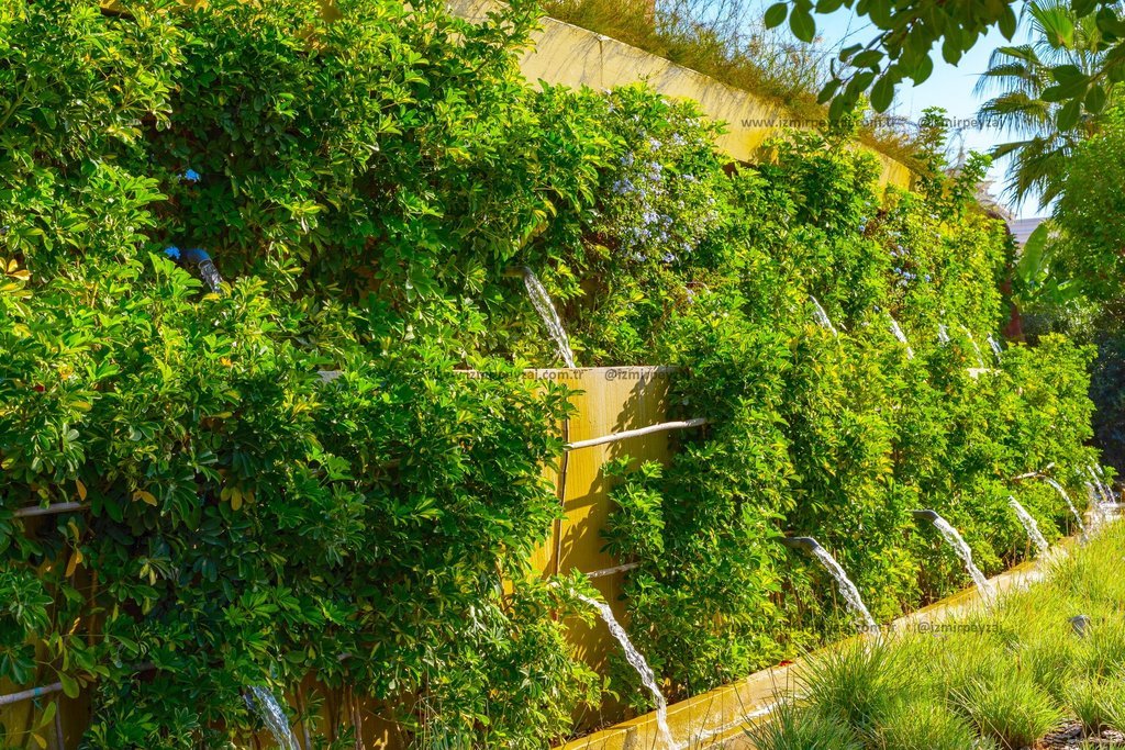 Bu görsel, yemyeşil bitki örtüsüyle kaplı, şelale şeklinde su akışının sağlandığı etkileyici bir duvarı sergiliyor. Doğal güzellik ve suyun huzur veri