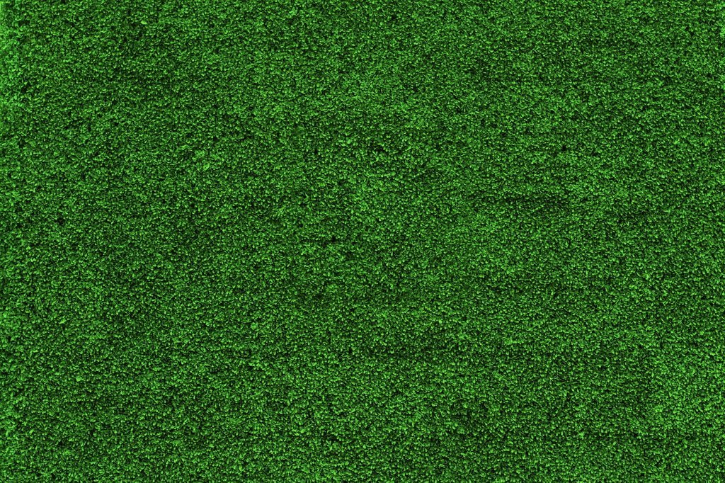 Bu resimde, yoğun ve canlı yeşil renkteki bitki örtüsü dikkat çekiyor. Dokusu ve rengiyle doğal bir görünüm sunan bu görsel, bahçe veya peyzaj temalı 