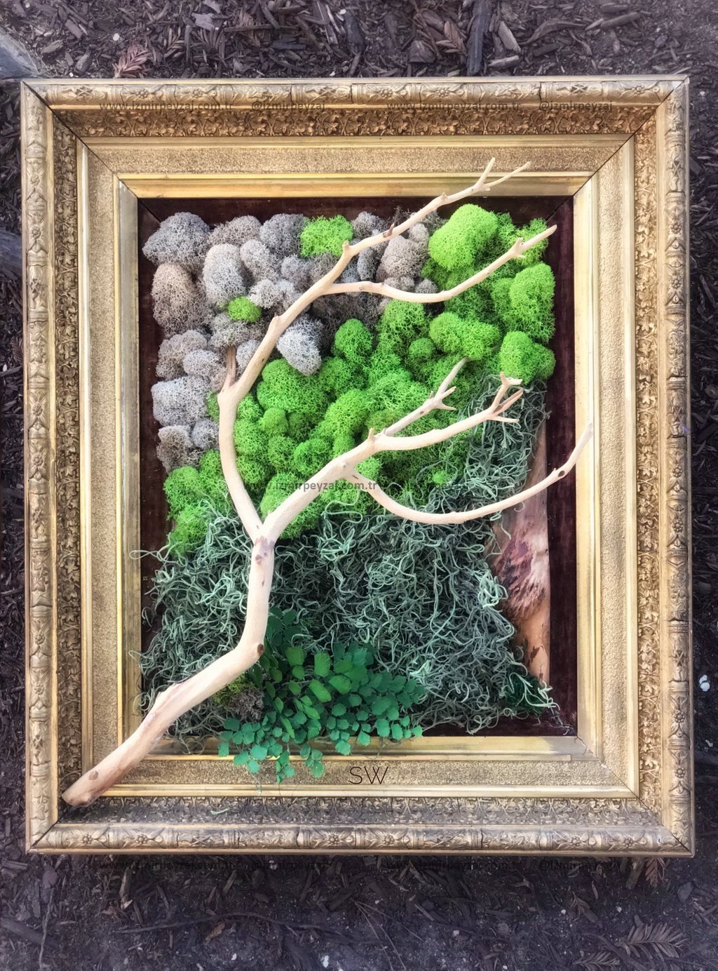 Altın rengi çerçeve içinde, farklı renklerde yosunlar ve kuru bir ağaç dalı ile oluşturulmuş doğal b Altın rengi çerçeve içinde, farklı renklerde yosunlar ve kuru bir ağaç dalı ile oluşturulmuş doğal bir duvar dekorasyonu. Bu eşsiz tasarım, evinize ve