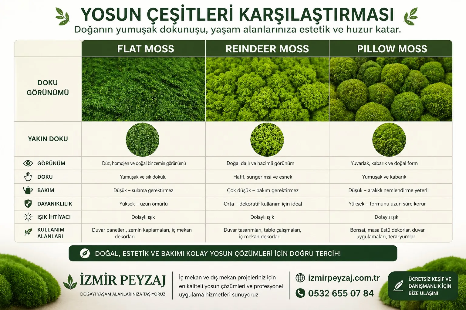 Yosun çeşitleri karşılaştırması - Flat Moss, Reindeer Moss ve Pillow Moss arasındaki doku, görünüm, bakım, dayanıklılık ve kullanım alanı farkları